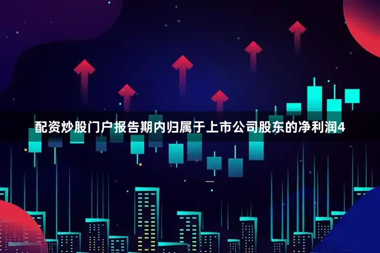 配资炒股门户报告期内归属于上市公司股东的净利润4