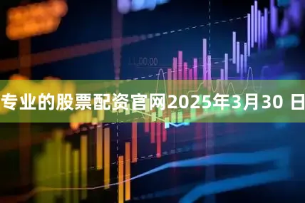 专业的股票配资官网2025年3月30 日